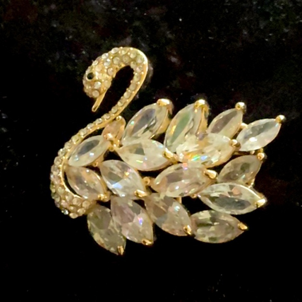 Beautiful Swan Pin.